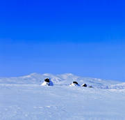 fjllfjllen, landscapes, Lapland, mountain, winter