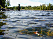 angling, dry fly, fishing, flyfishing, Gevsjo stream