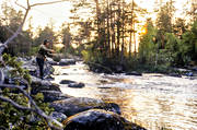 anglers, angling, backlight, evening, evening sun, flyfishing, Herrevad stream, herrevad stream, swimfeeder