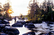 anglers, angling, backlight, evening, evening sun, flyfishing, Herrevad stream, herrevad stream, swimfeeder