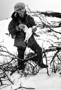 hunting, ptarmigan, trapping, white grouse snaring