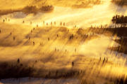 aerial photo, aerial photo, aerial photos, aerial photos, ambience, ambience pictures, atmosphere, autumn, bog soil, cloud, drone aerial, drnarfoto, fog, gold, landscapes, Lapland, mire, moory soil, season, seasons, Sweden, uninhabited, wasteland, wilderness, woodland, yellow