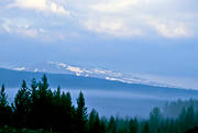 fog, Herjedalen, mountain forest, season, seasons, sky, Sonfjllet, spring