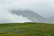alpine hiking, fog, national park, Padjelanta, rain, summer, ventyr