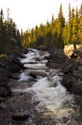 autumn, creek, forest runlet, forest stream, forest creek, Herjedalen, landscapes, Skrkn