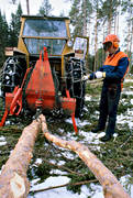 forest worker, forestry, logs, timber, timber logs, tractor, woodcutter, woodland, work