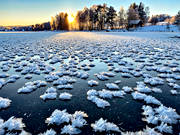 atmosphere, backlight, court, frostblommor, ice, ice flowers, landscapes, season, seasons, winter