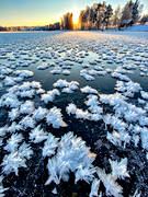 backlight, court, frostblommor, ice, ice flowers, landscapes, season, seasons, winter