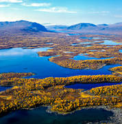 aerial photo, aerial photo, aerial photos, aerial photos, autumn, autumn colours, Bartaure, Bartaurluspe sameviste, drone aerial, drnarfoto, Gabdok, Jackvik, Kalto, Kietsekaise, landscapes, Lapland, mountain, mountain lake, mountain pictures, Tskka, Vilitsavon