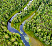 aerial photo, aerial photo, aerial photos, aerial photos, angling, creek, drone aerial, drnarbild, drnarfoto, fishing, fiske, flyfishing, forest creek, Hans Lidman, inspiration, Mllngsbon, Svartn