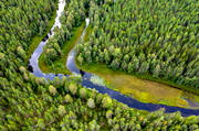 aerial photo, aerial photo, aerial photos, aerial photos, angling, creek, drone aerial, drnarbild, drnarfoto, fishing, fiske, flyfishing, forest creek, Hans Lidman, inspiration, Mllngsbon, Svartn