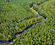 aerial photo, aerial photo, aerial photos, aerial photos, angling, creek, drone aerial, drnarbild, drnarfoto, fishing, fiske, flyfishing, forest creek, Hans Lidman, inspiration, Mllngsbon, Svartn