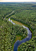 aerial photo, aerial photo, aerial photos, aerial photos, angling, creek, drone aerial, drnarbild, drnarfoto, fishing, fiske, flyfishing, forest creek, Hans Lidman, inspiration, Mllngsbon, Svartn