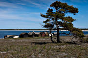 buildings, fishing cabin, fishing cabins, Gotland, havsband, Helgumannens fiskelge, landscapes, nature, sea, sea, shops, summer