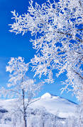 atmosphere, Gaisare, hoarfrost, landscapes, Lapland, mountain, season, seasons, snow, vita vidder, winter, winter mountains