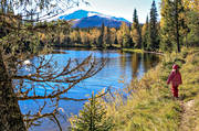 alpine, alpine landscape, autumn, autumn colours, autumn morning, birch, birch leaf, children, Enafors, Enaforsholm, Enan, excursion, girl, hike, Jamtland, landscapes, mountain, mountain peaks, mountain top, mountains, nature, nature trail, outdoor life, river, season, seasons, Snasa Mountains, Snasen, Storsnasen, walk, wanderer, footer, wild-life, woodland