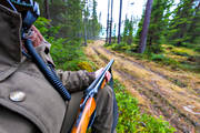 allmnjakt, hunting, roedeer hunting