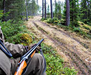 allmnjakt, guard, gun, hunting, hunting weapon, passage, roedeer hunting, shooters, shot-gun, shotgun, vgpass, weapon