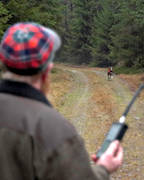 dog searcher, fox hunting, GPS, harrier, hunter, hunting, locate, sound, gauge, Tracer