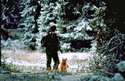 allmnjakt, barking bird dog, barking bird dog, finnish spitz, hunter, hunting, ga*