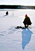 angling, burbot fishing, fishing, ice fishing, ice fishing, lake, winter fishing