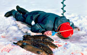 angling, burbot fishing, fishing, ice fishing, ice fishing, ice fishing, lake, winter fishing