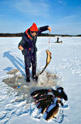angling, burbot fishing, fishing, ice fishing, ice fishing, lake, winter fishing