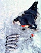 anglers, angling, fish, fishing, ice fishing, ice fishing, ice fishing, jig, dap, whitefish, winter fishing