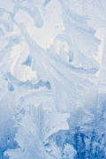 blue, cold, cold, ice, ice flowers, window, winter