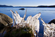 cold, frozen, glaciation    icing, ice, icicle, lake, landscapes, vatten, water, winter