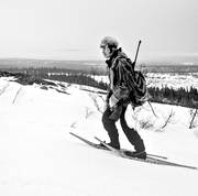 alpine hunting, bergstrand, catcher, hunting, snow shoes, trapper, trappern bergstrand, trapping, white grouse hunt