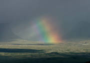 Abisko, landscapes, Lapland, Lapporten, nature, rainbow, summer