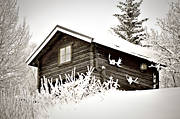 buildings, Jamtland, log-cabin, old, season, seasons, timber hut, timbered, winter, lghorn