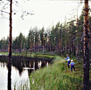 angles, angling, angling, fishing, forest tarn