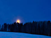 blue, evening, forest brim, full moon, moon, moonlight, season, seasons, winter, woodland
