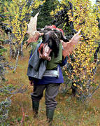 hunting, hunting moose, moose hunter, moose hunting, trophy, lghorn