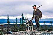 alpine hunting, hunting, hunting moose, moose hunting, swedish moosehound