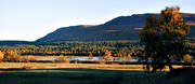 Ammarnas, autumn, evening, landscapes, Lapland, mountain, panorama, panorama pictures, Ribovardo