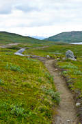 alpine hiking, mountain route, national park, nature trail, Padjelanta, path, summer, track, ventyr