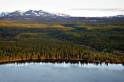 aerial photo, aerial photo, aerial photos, aerial photos, Ann lake, Bunnerfjallen, Bunnerviken, drone aerial, drnarfoto, Jamtland, landscapes, mountain forest, near mountains, summer, woodland