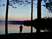 angling, angling, casting rod coarse fishing, fishing, midnight, night fishing
