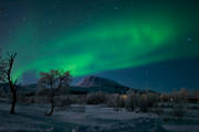 nature, Nikkaluokta, northern lights, polar lights, polar night, season, seasons, sky, winter