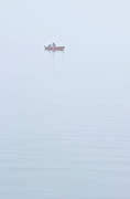 boat fishing, fishing, fishing, fog, Lapland, ntupptagning, Torne Trsk, work