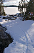 animals, mammals, otter, otter slide, otter traces, slide, snow, tracks, winter