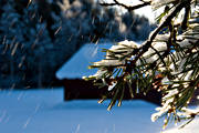 ambience, ambience pictures, atmosphere, barn, christmas, christmas ambience, christmas card, christmas pictures image, pine-needle, season, seasons, snow, winter, winter pictures