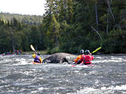 outdoor life, paddling, rafting, summer, water sports, white-water rafting, wild-life, äventyr