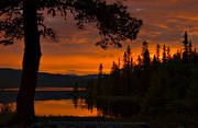 evening, Jamtland, landscapes, Leaf lake, mountain forest, mountain lake, peaceful, red, red, rd himmel, sky, still, summer, sunset, tree, woodland