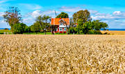 agriculture, agriculture land, buildings, corn, grains, cottage, crop, harvest, grainfield, house, idyll, landscapes, red-painted, ripe, season, seasons, skrda, skrdetid, Smland, summer, svensk, Sweden, vete, veteflt, Visings, work