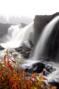 attractions, autumn, Jamtland, Ristafallet, Rista Fall, season, seasons, water fall