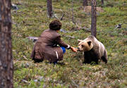 animals, bear, brown bear, dangerous, dangerous, fed, feed, mammals, predators, semi domesticated, tame